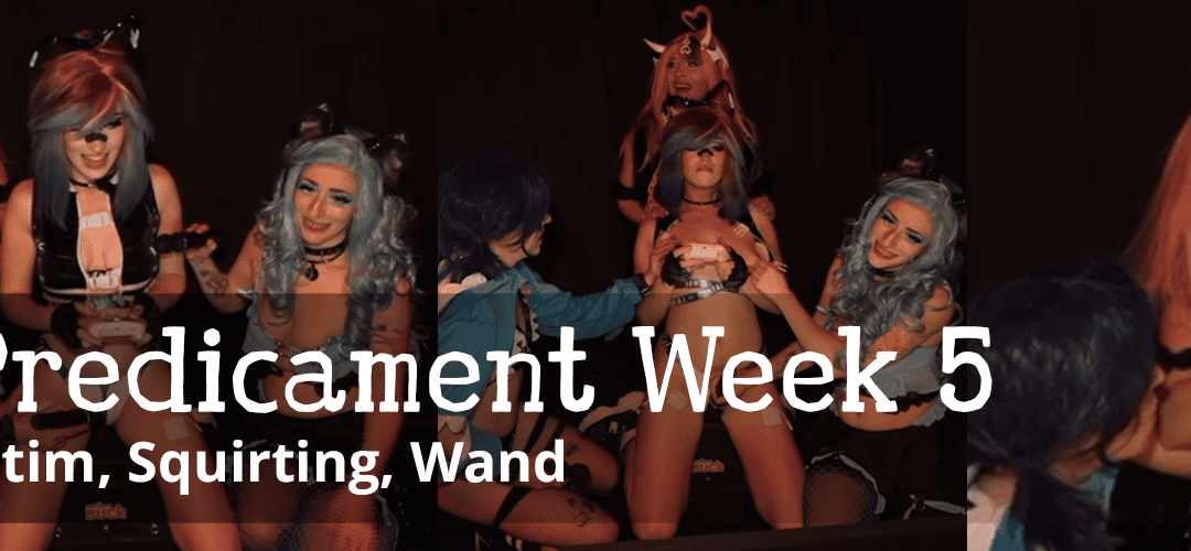 L34SH Predicament Week 5