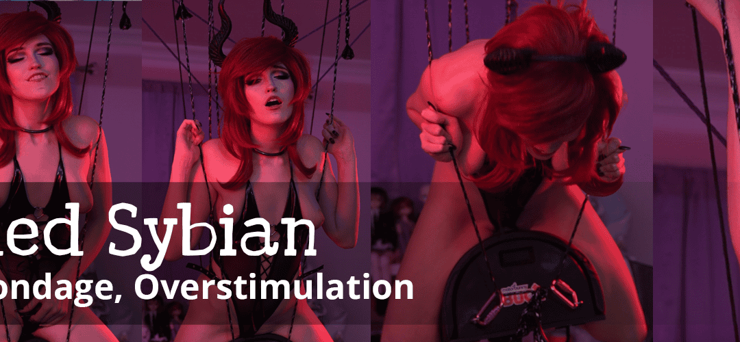 Suspended Sybian